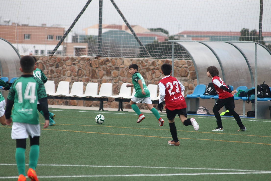 Fotos: Alevines B - Alevines B