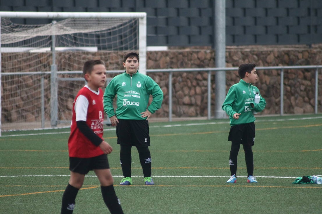 Fotos: Alevines B - Alevines B