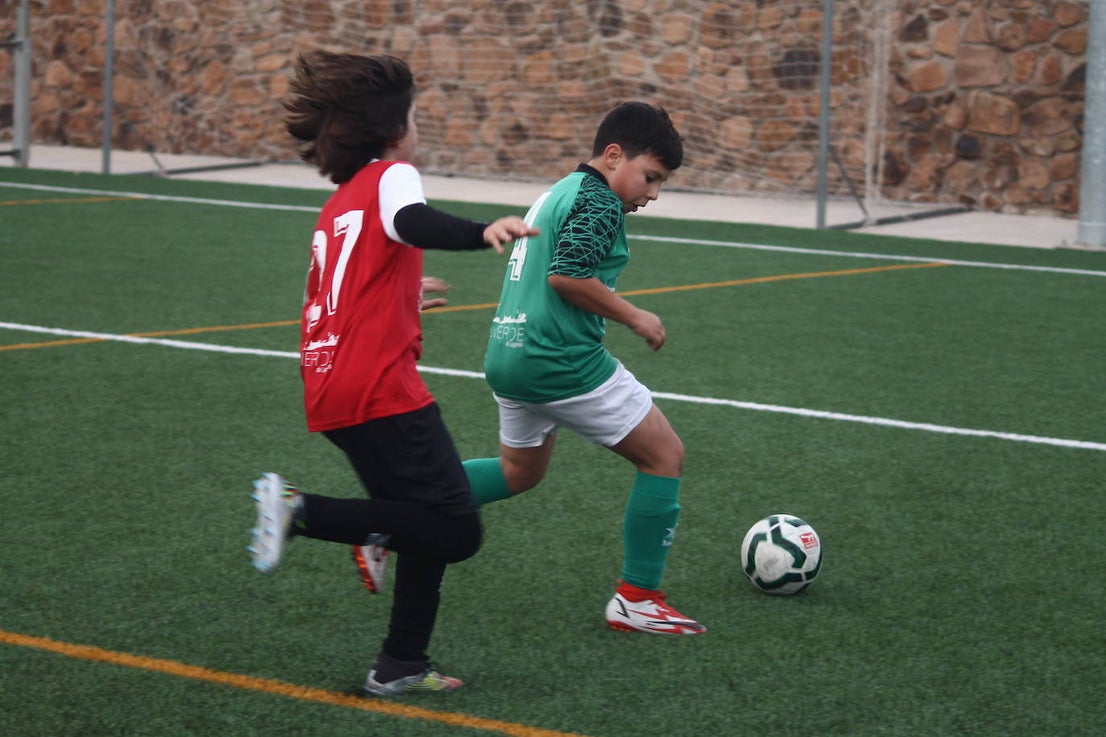 Fotos: Alevines B - Alevines B