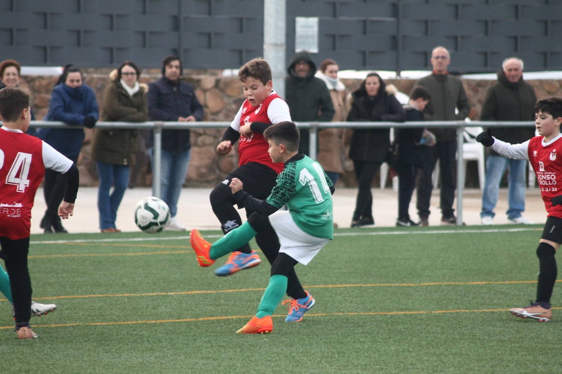 Fotos: Alevines B - Alevines B
