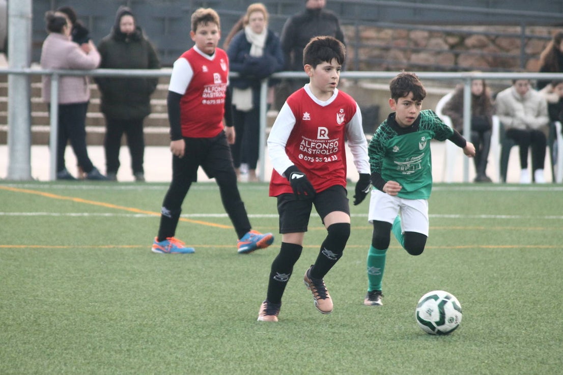 Fotos: Alevines B - Alevines B