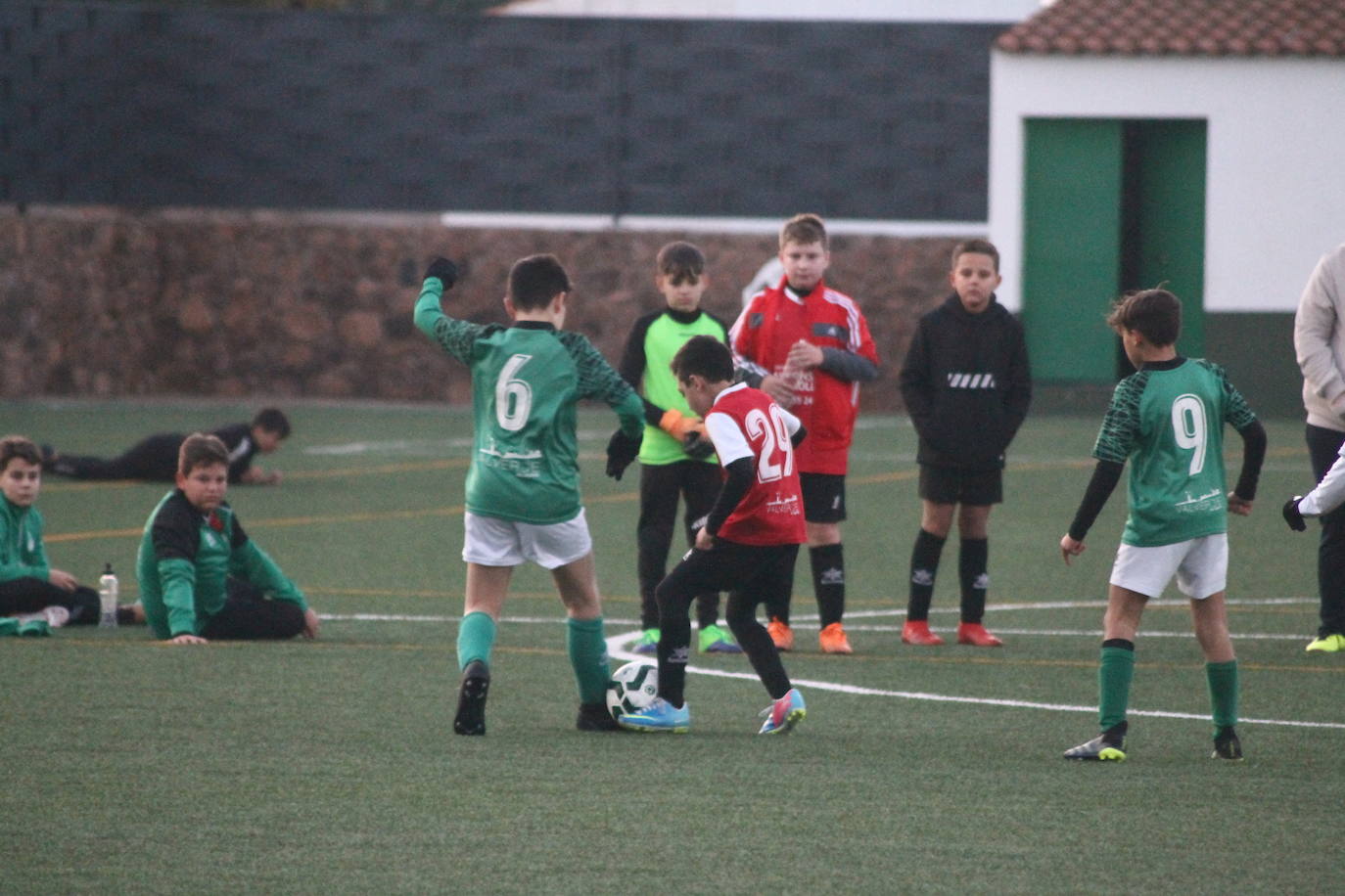 Fotos: Alevines B - Alevines B