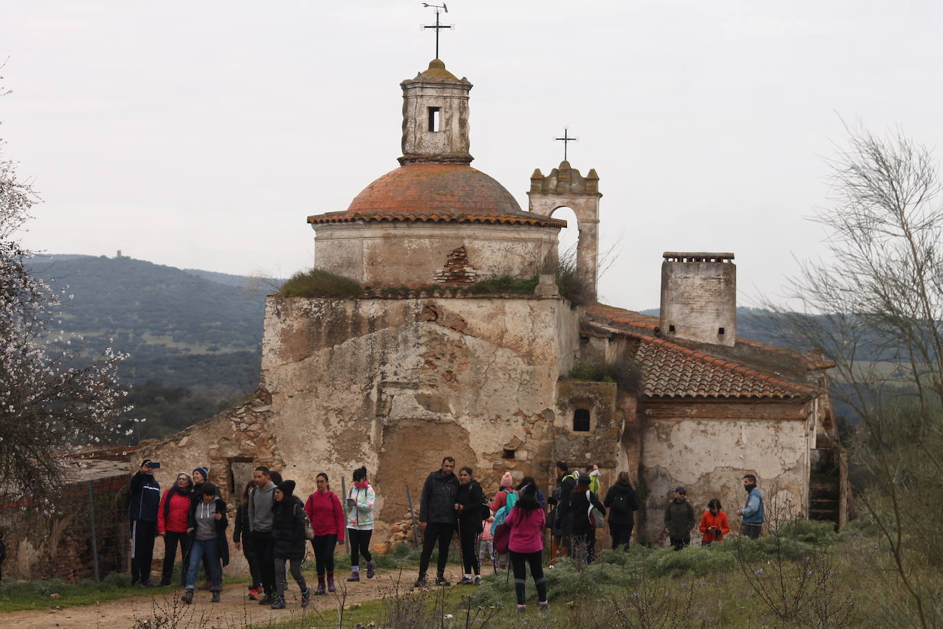 Fotos: Almendro Real (II)