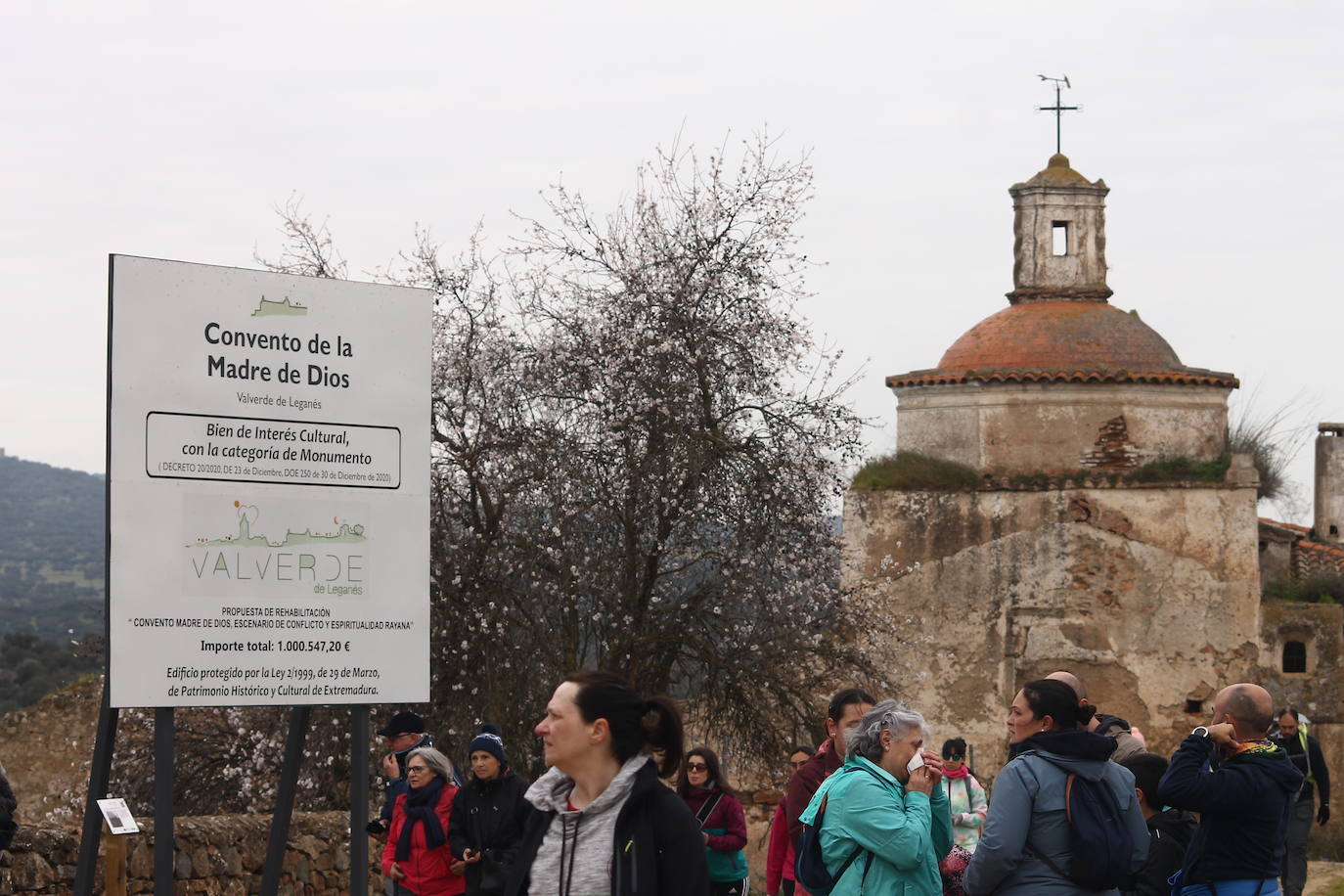 Fotos: Almendro Real (II)