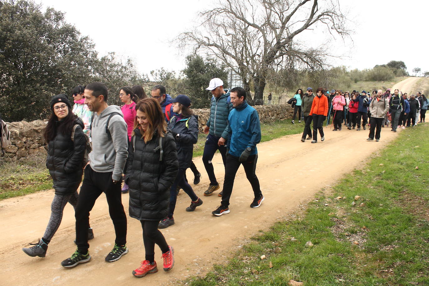 Fotos: Almendro Real (II)