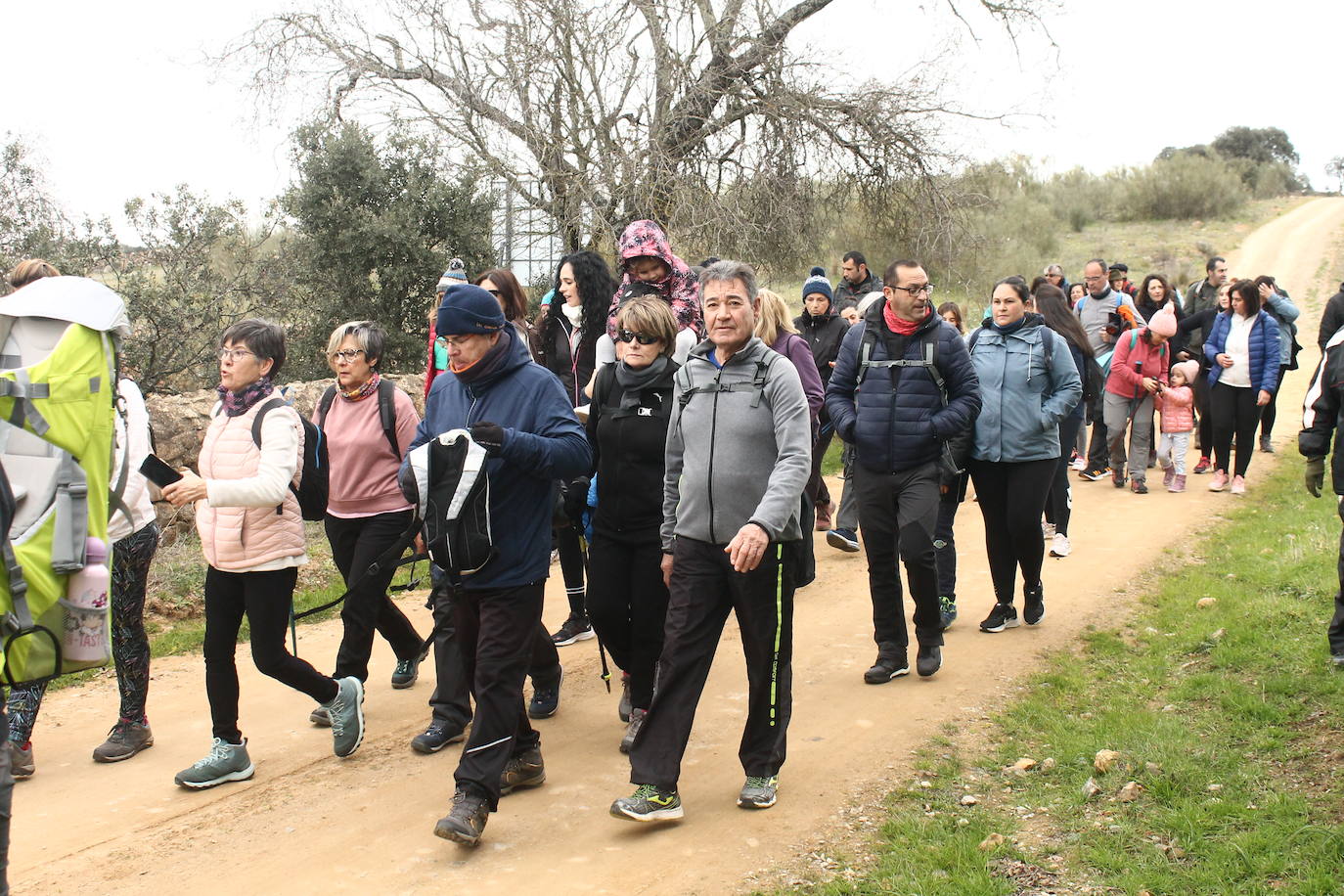 Fotos: Almendro Real (II)