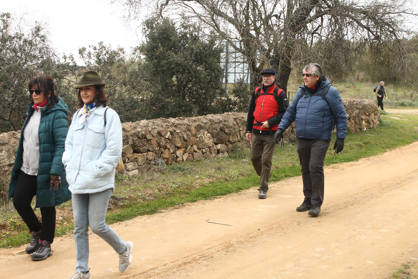 Fotos: Almendro Real (II)