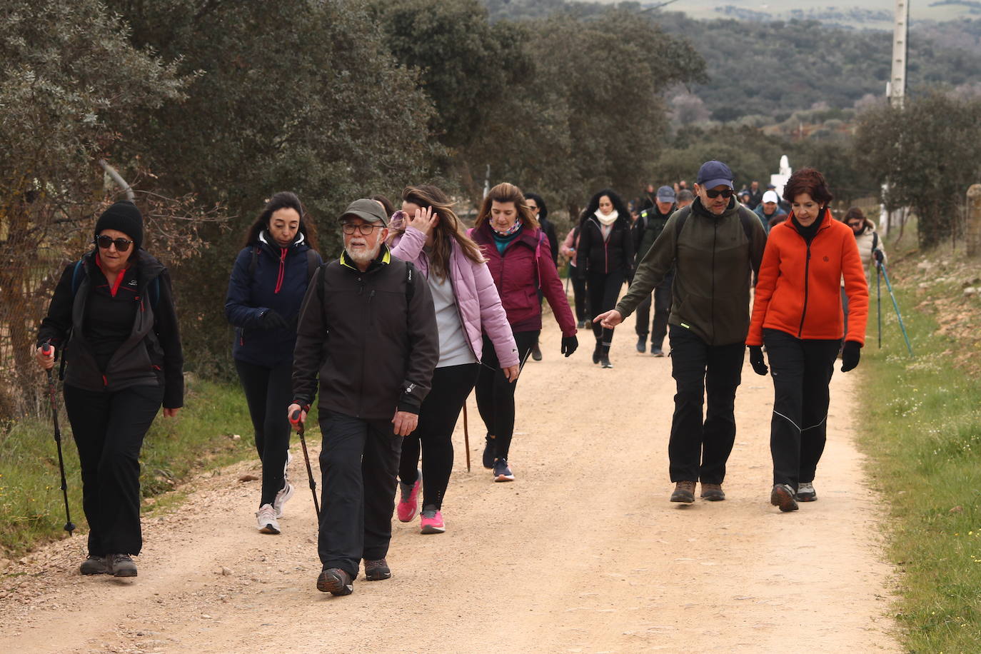 Fotos: Almendro Real (II)