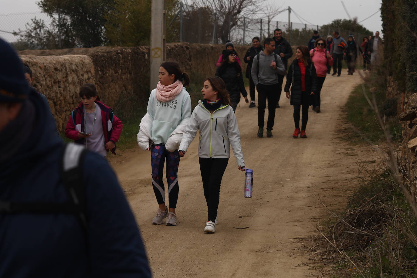 Fotos: Almendro Real (II)