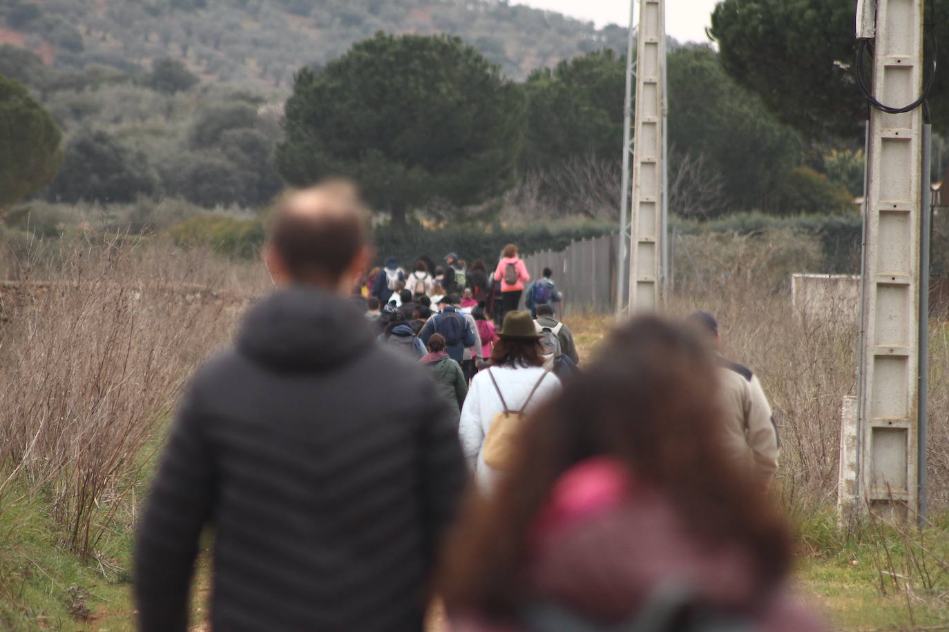 Fotos: Almendro Real (II)