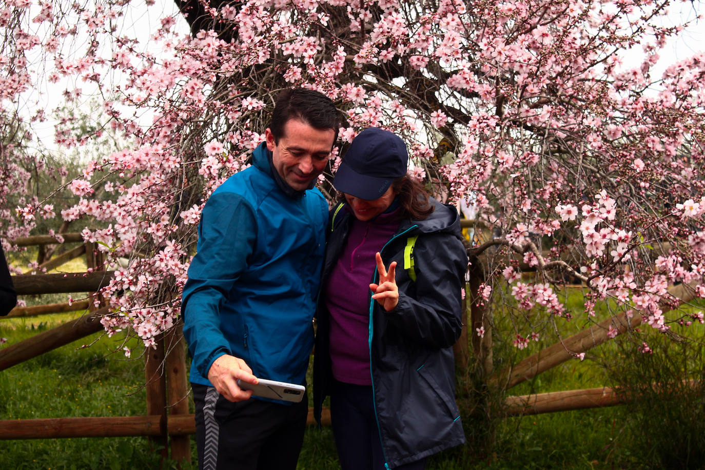 Fotos: Almendro Real (II)