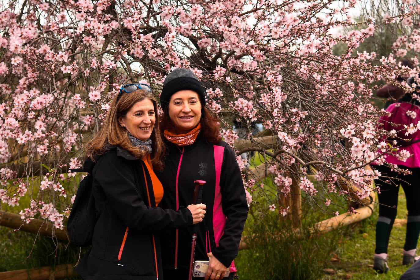 Fotos: Almendro Real (II)