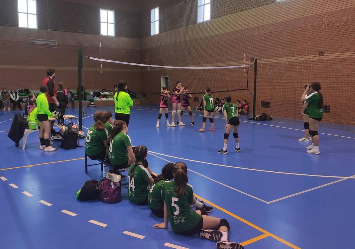 Partido de las alevines