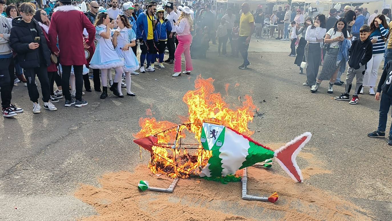 Domingo de Piñata 2024