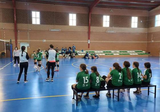 Los equipos de voleibol pierden contra el CD Marista A