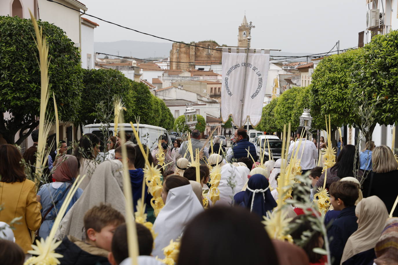 Domingo de Ramos 2024