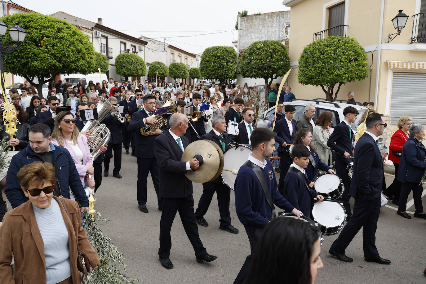 Domingo de Ramos 2024