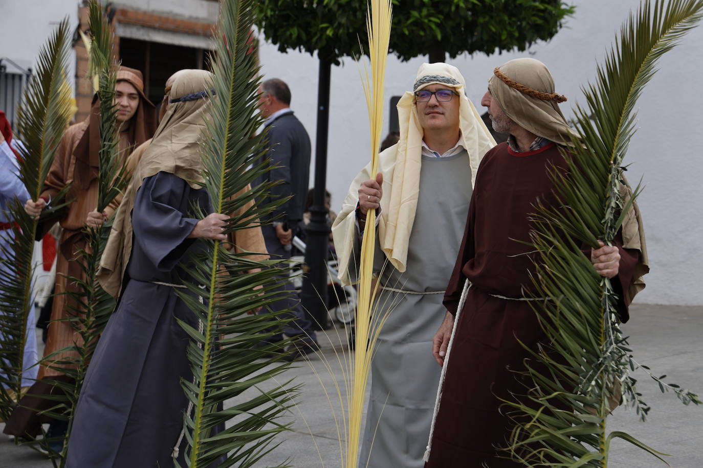 Domingo de Ramos 2024