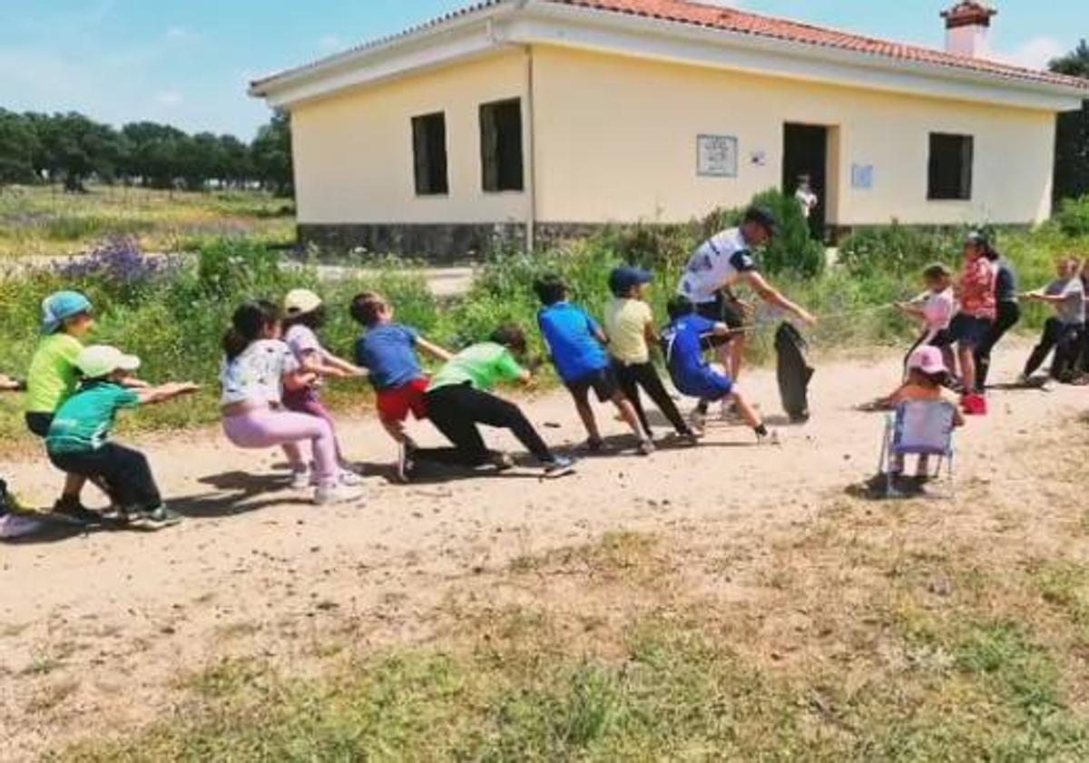Imagen principal - Algunas actividades organizadas