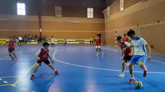 Esta tarde da inicio el torneo de fútbol sala cadete y juvneil