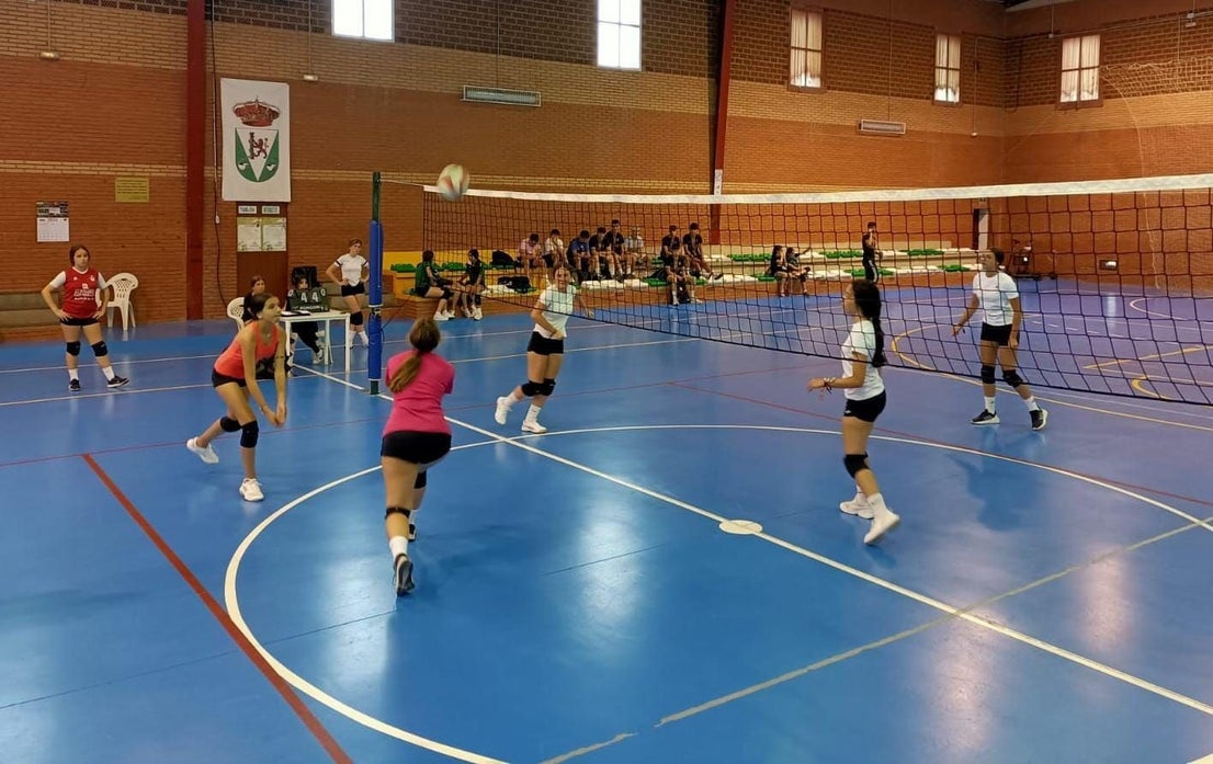 Torneo de verano de Voleibol