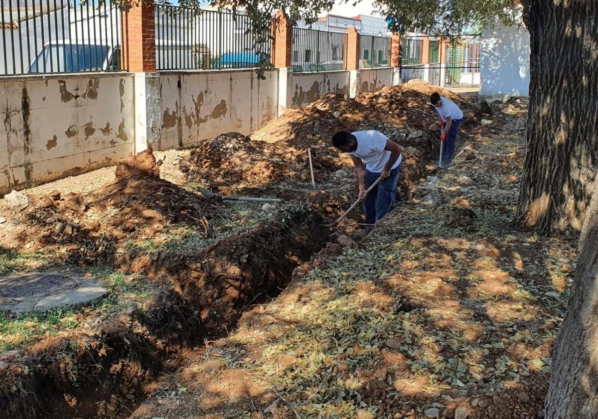 Imagen principal - Algunas imágenes de los trabajos