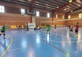 Torneos de verano de Voleibol