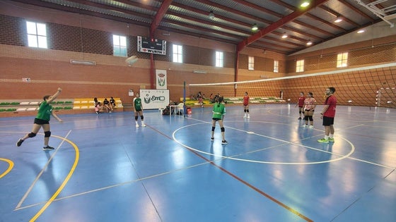 Torneos de verano de Voleibol
