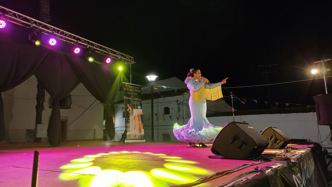 Ferias y Fiestas de Agosto 2024 (V)