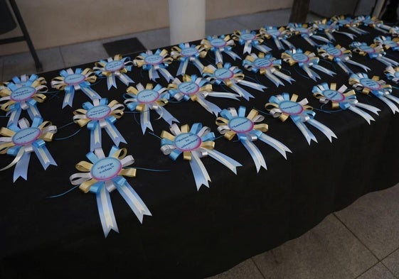 V Desfile Canino (I)