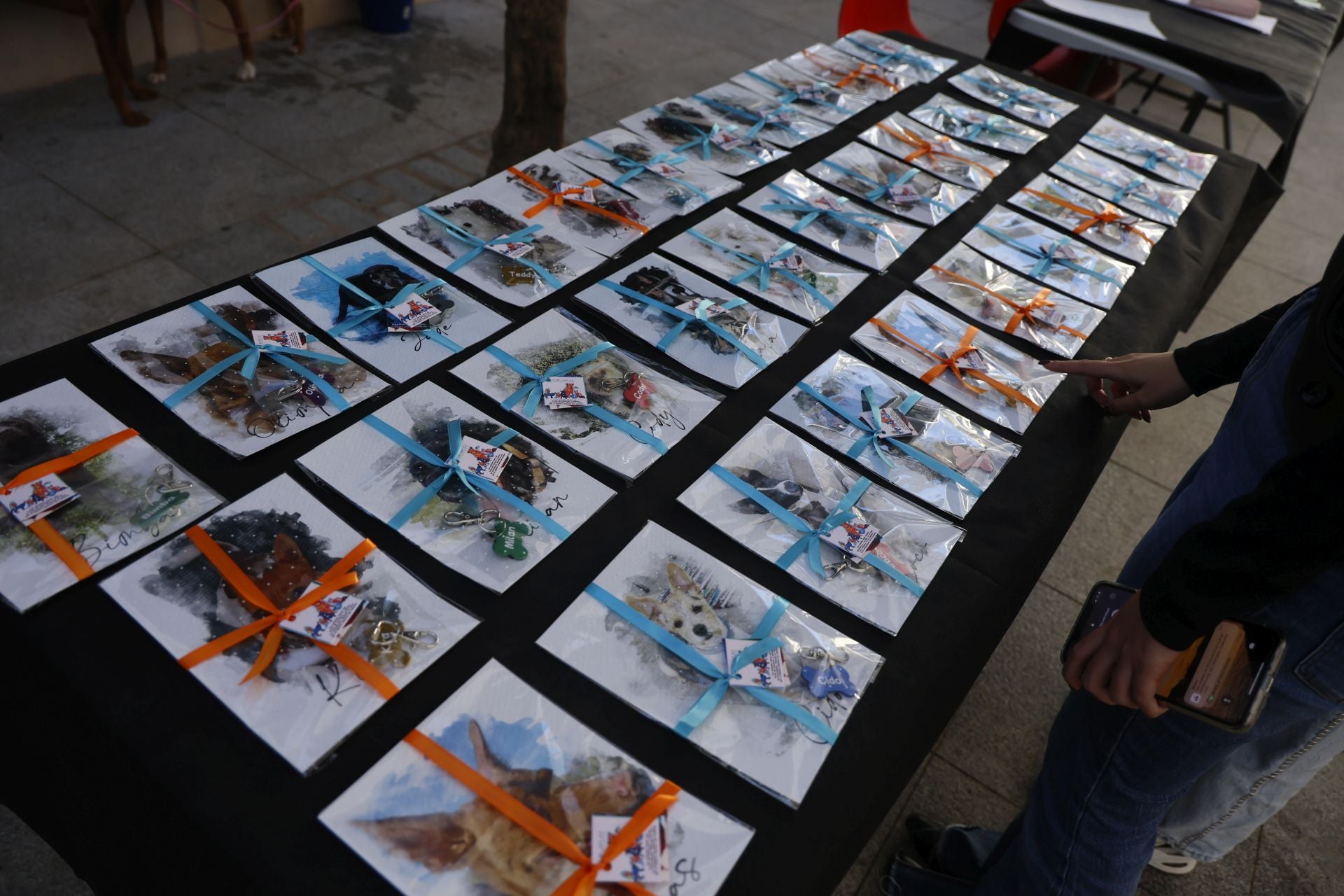 V Desfile Canino (I)