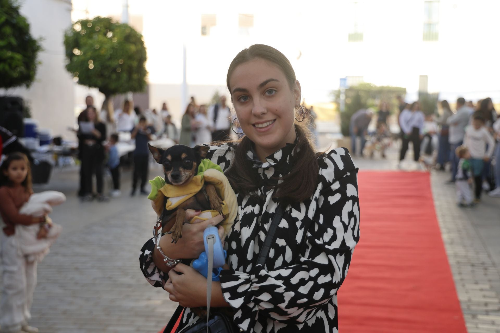 V Desfile Canino (I)