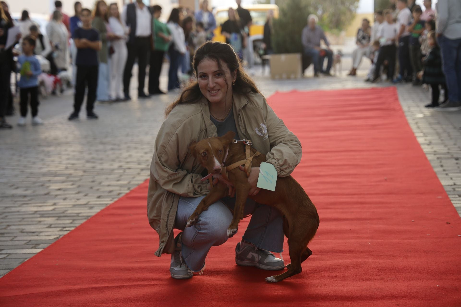 V Desfile Canino (I)