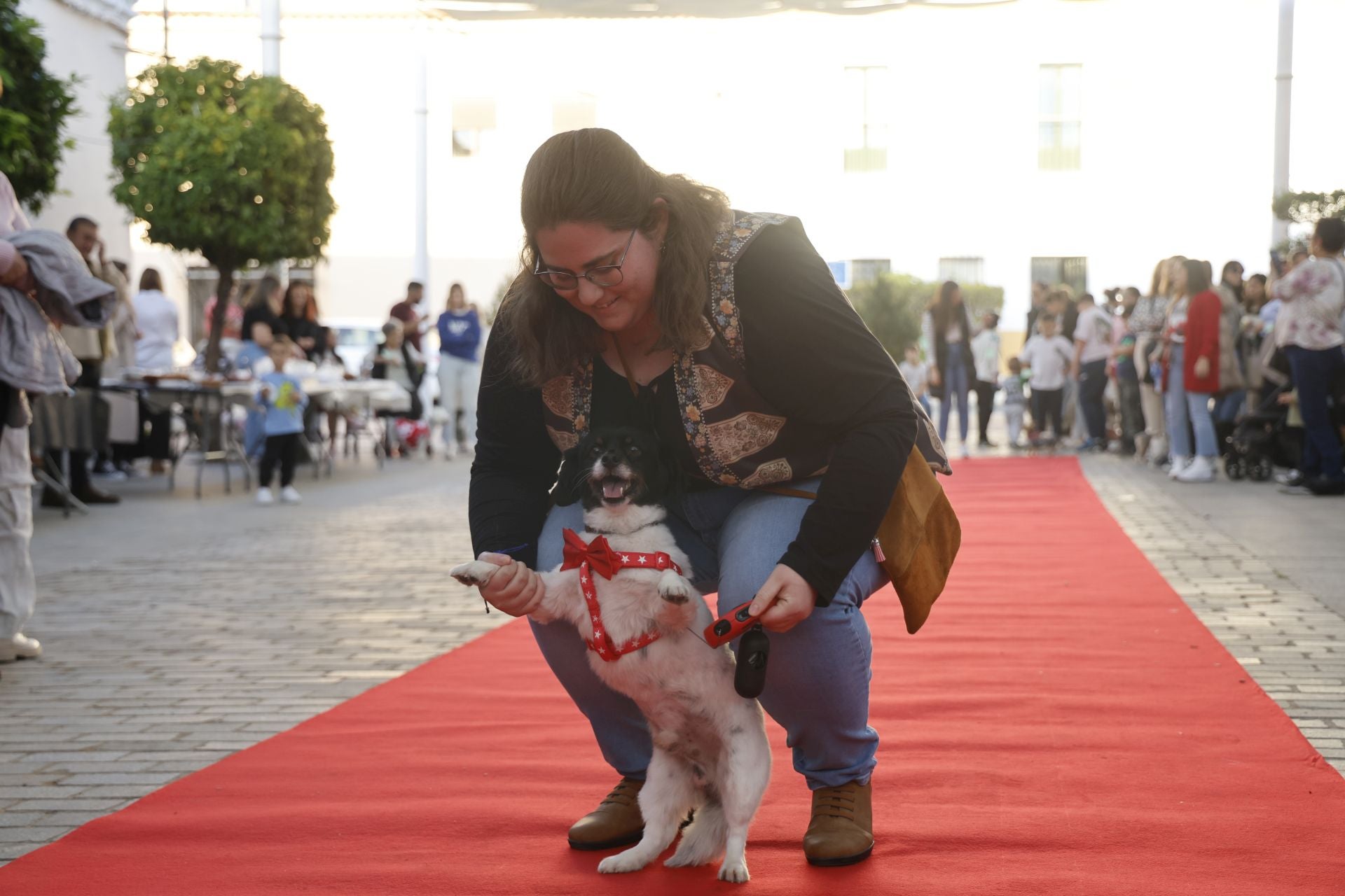 V Desfile Canino (I)