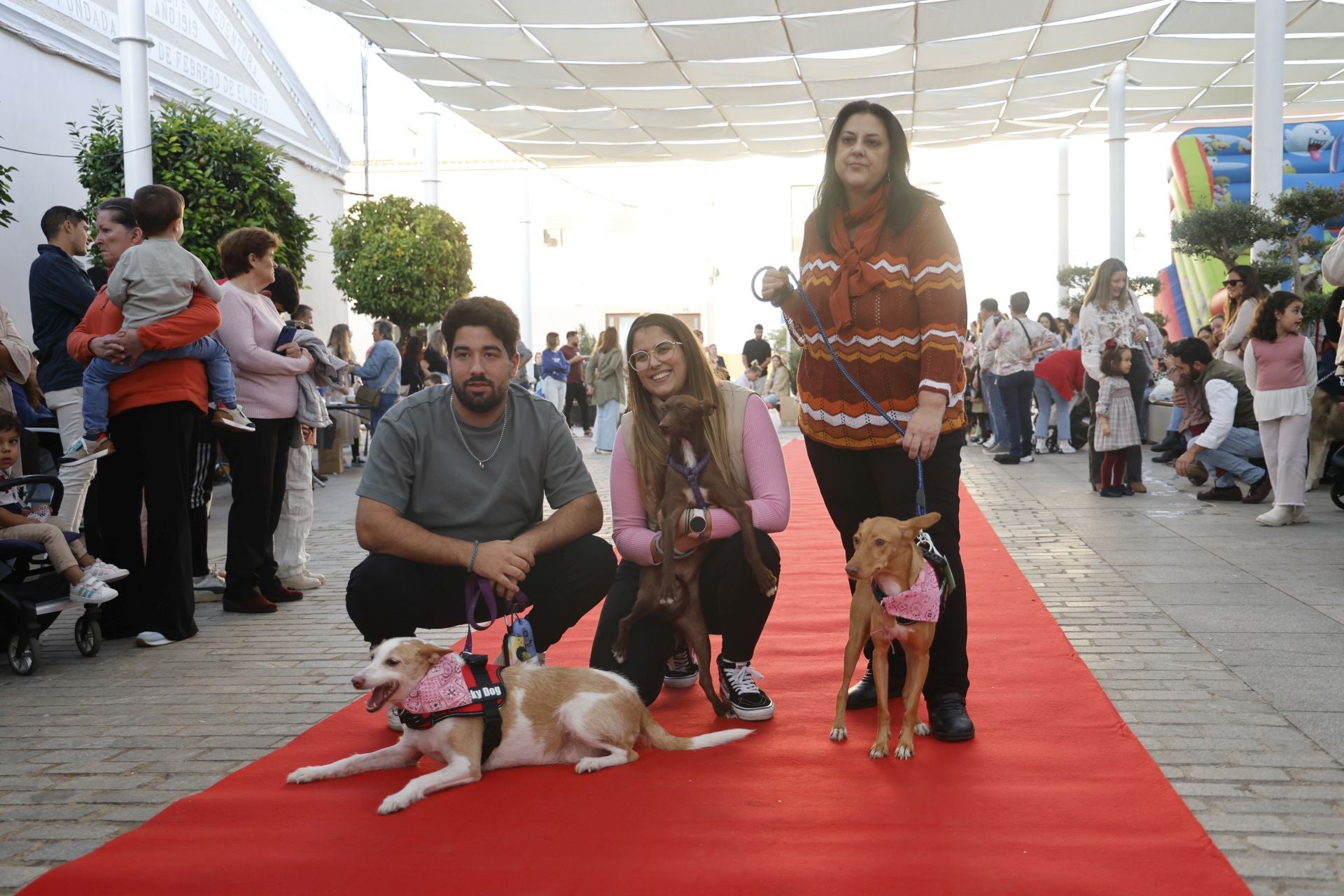 V Desfile Canino (I)