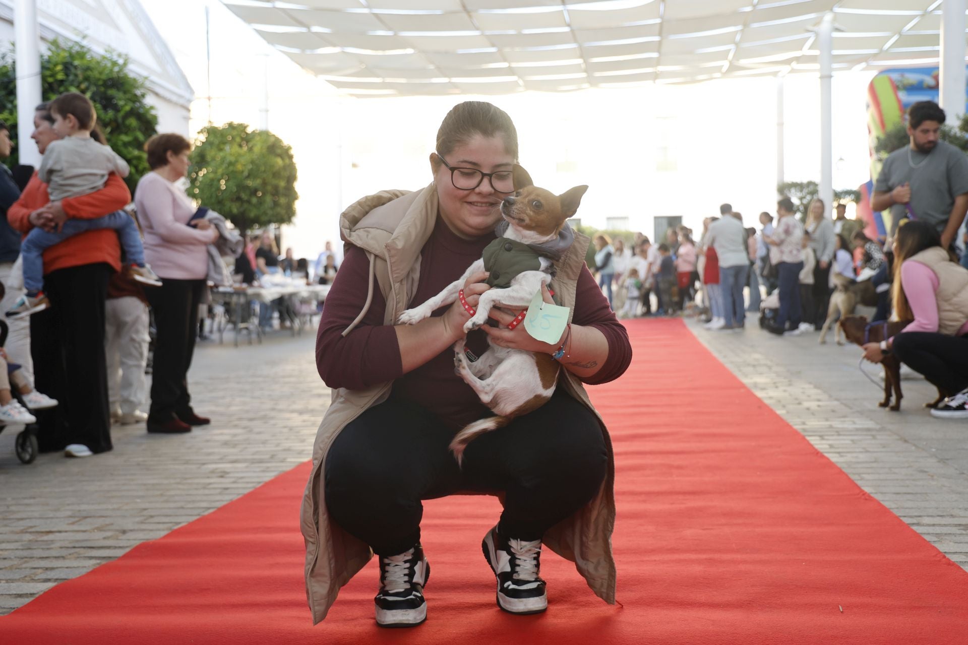 V Desfile Canino (I)