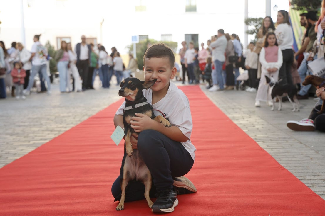 V Desfile Canino (I)