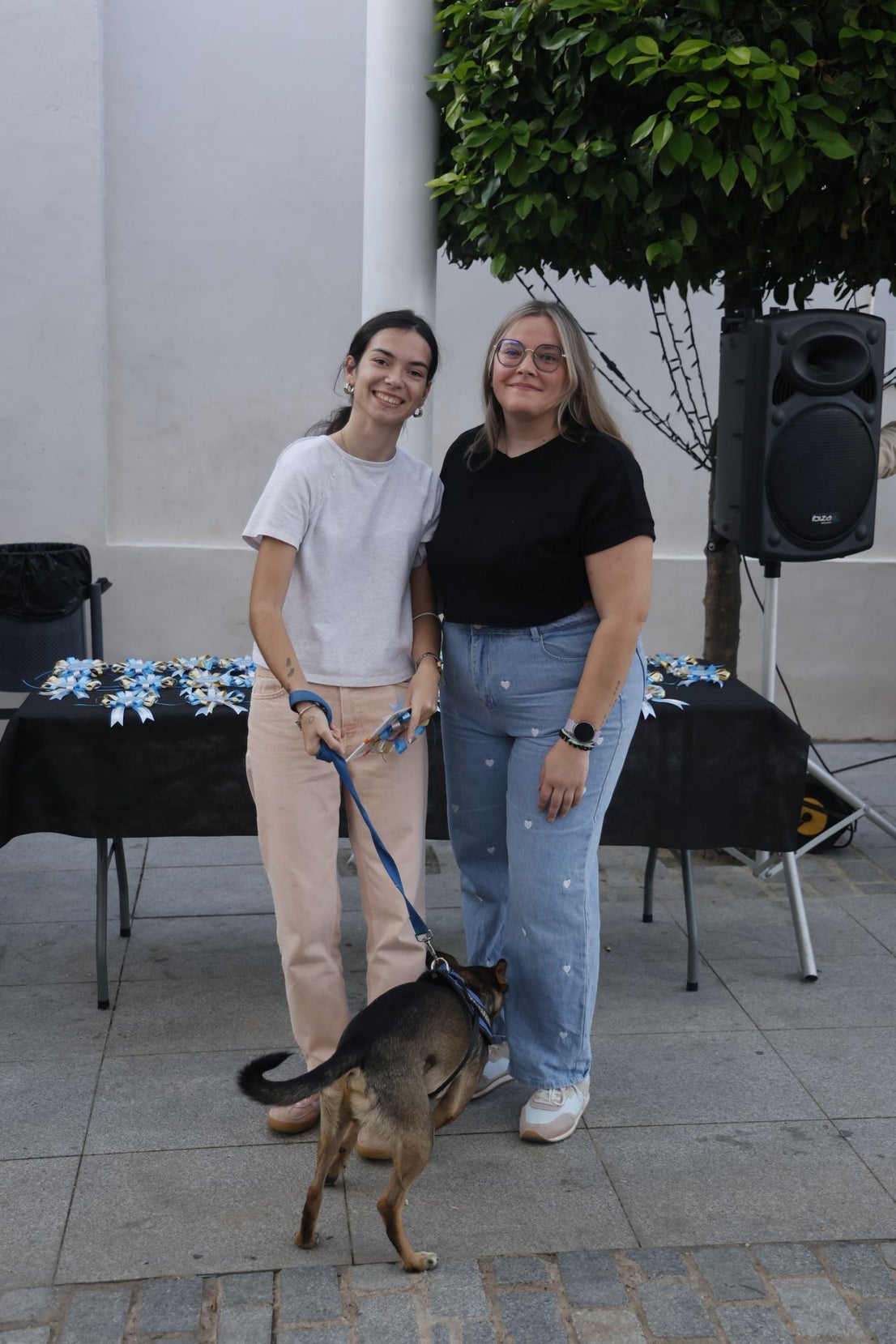 V Desfile Canino (II)