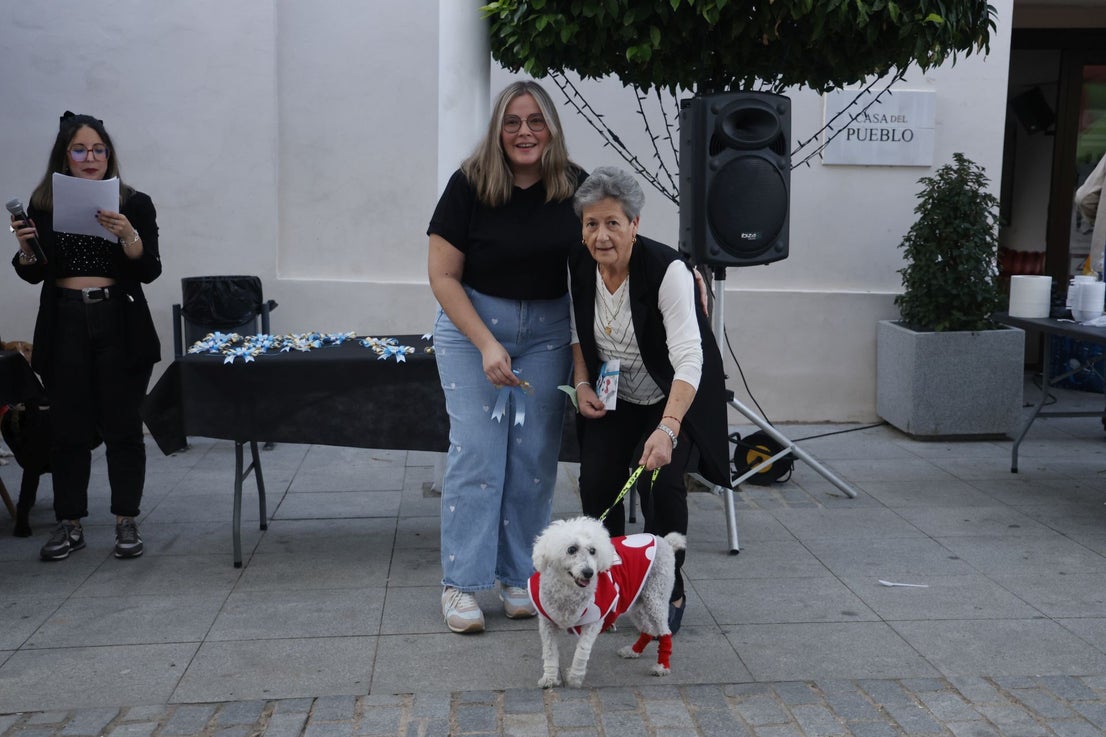 V Desfile Canino (II)