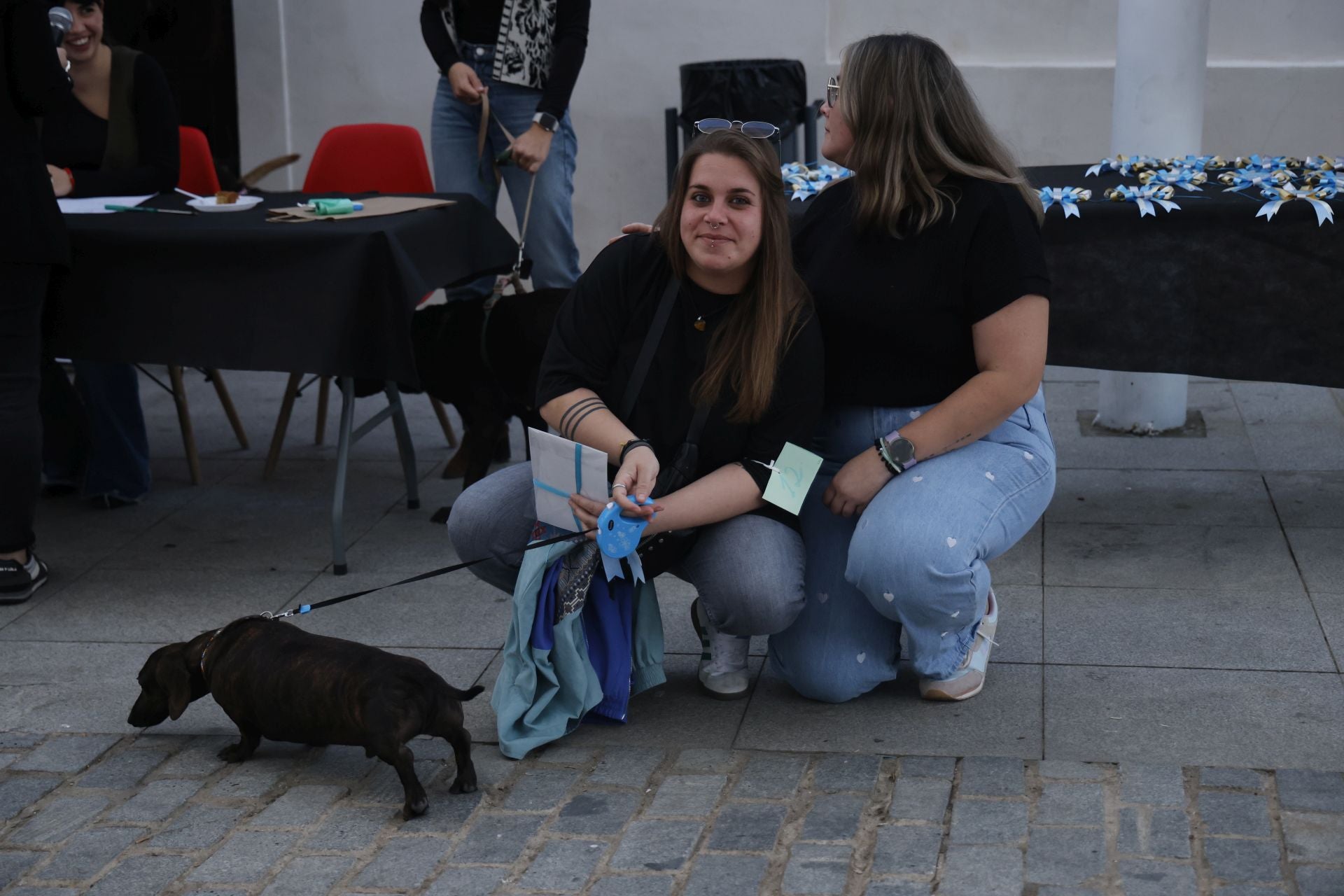 V Desfile Canino (II)