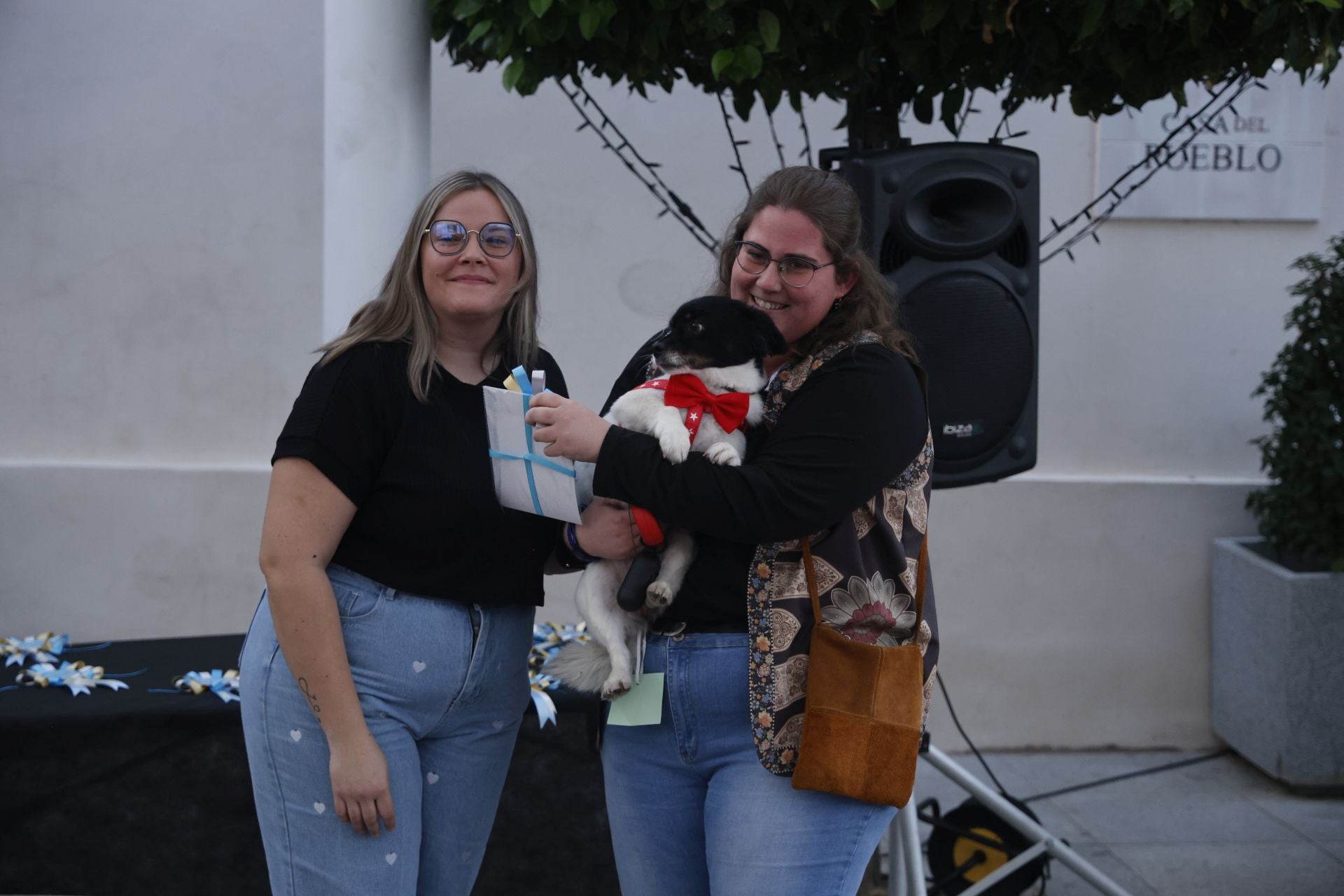 V Desfile Canino (II)