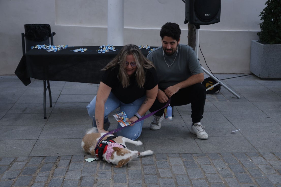 V Desfile Canino (II)