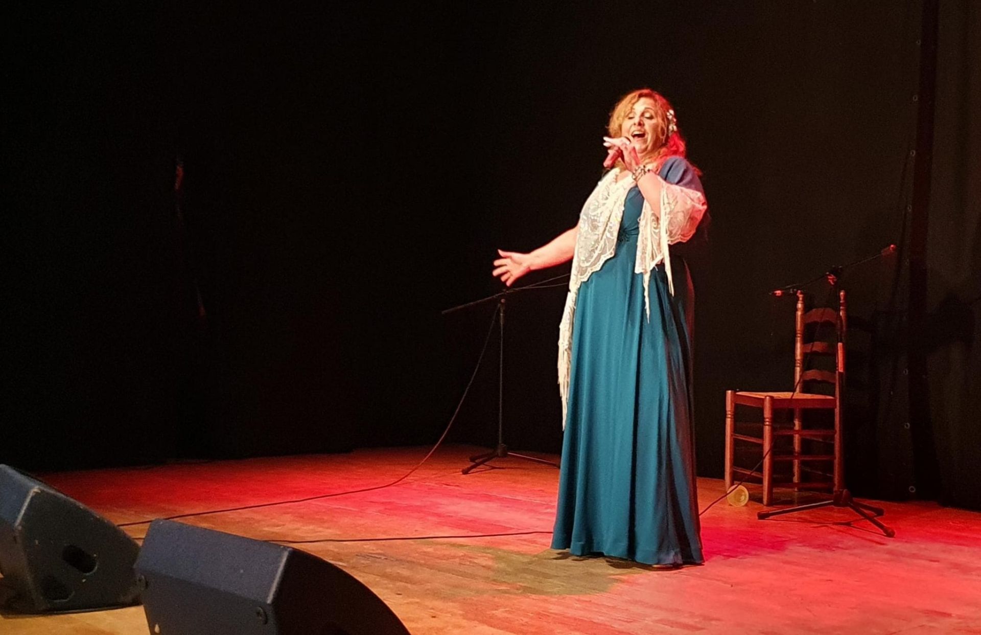 Gala Flamenca Benéfica