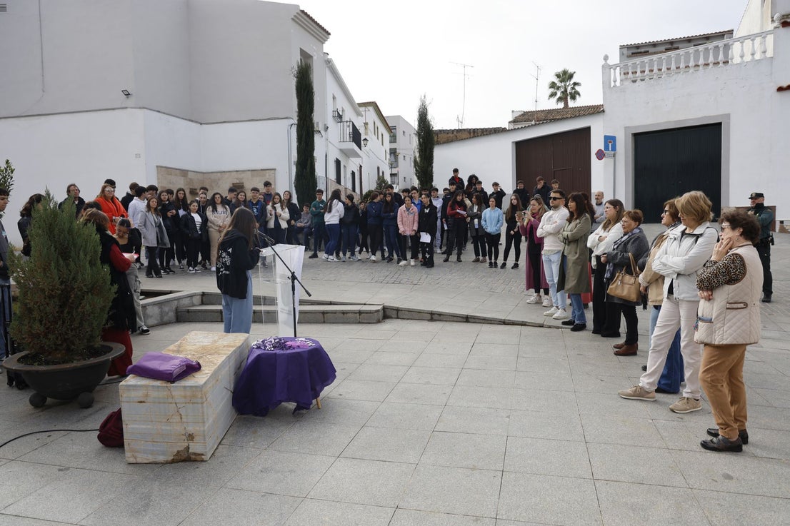 Lecturas escolares contra la Violencia hacia la Mujer