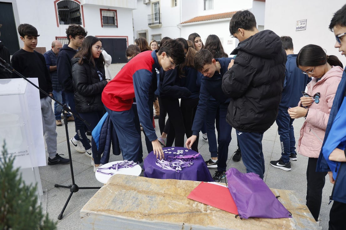 Lecturas escolares contra la Violencia hacia la Mujer