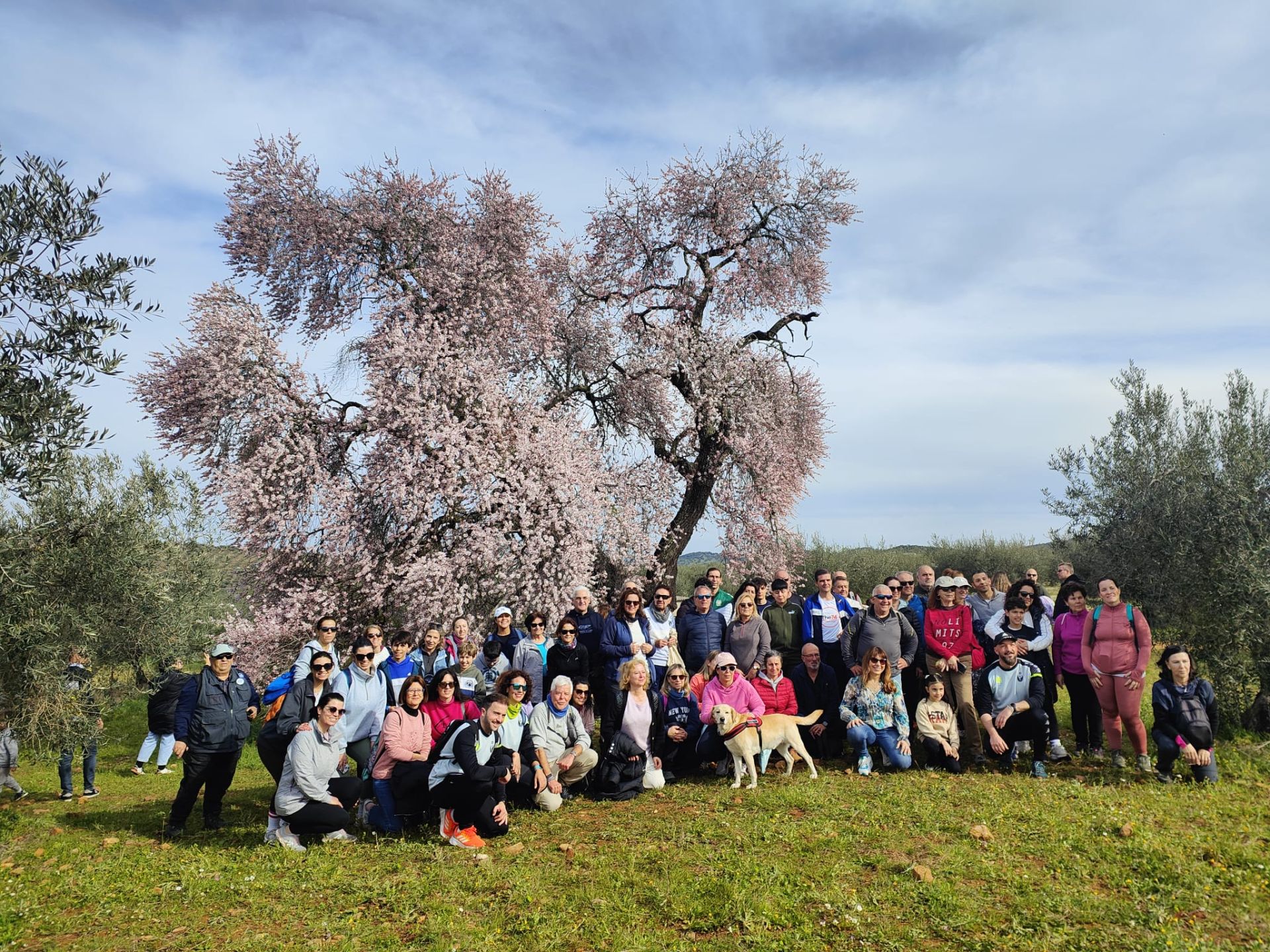 Ruta al Almendro Real