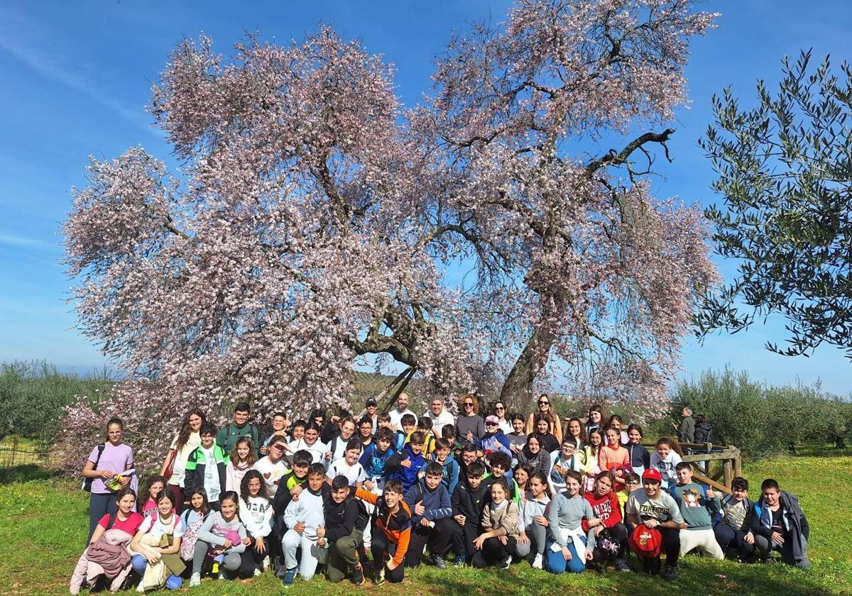 Visita de los escolares al Almendro Real