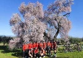 En el Almendro Real