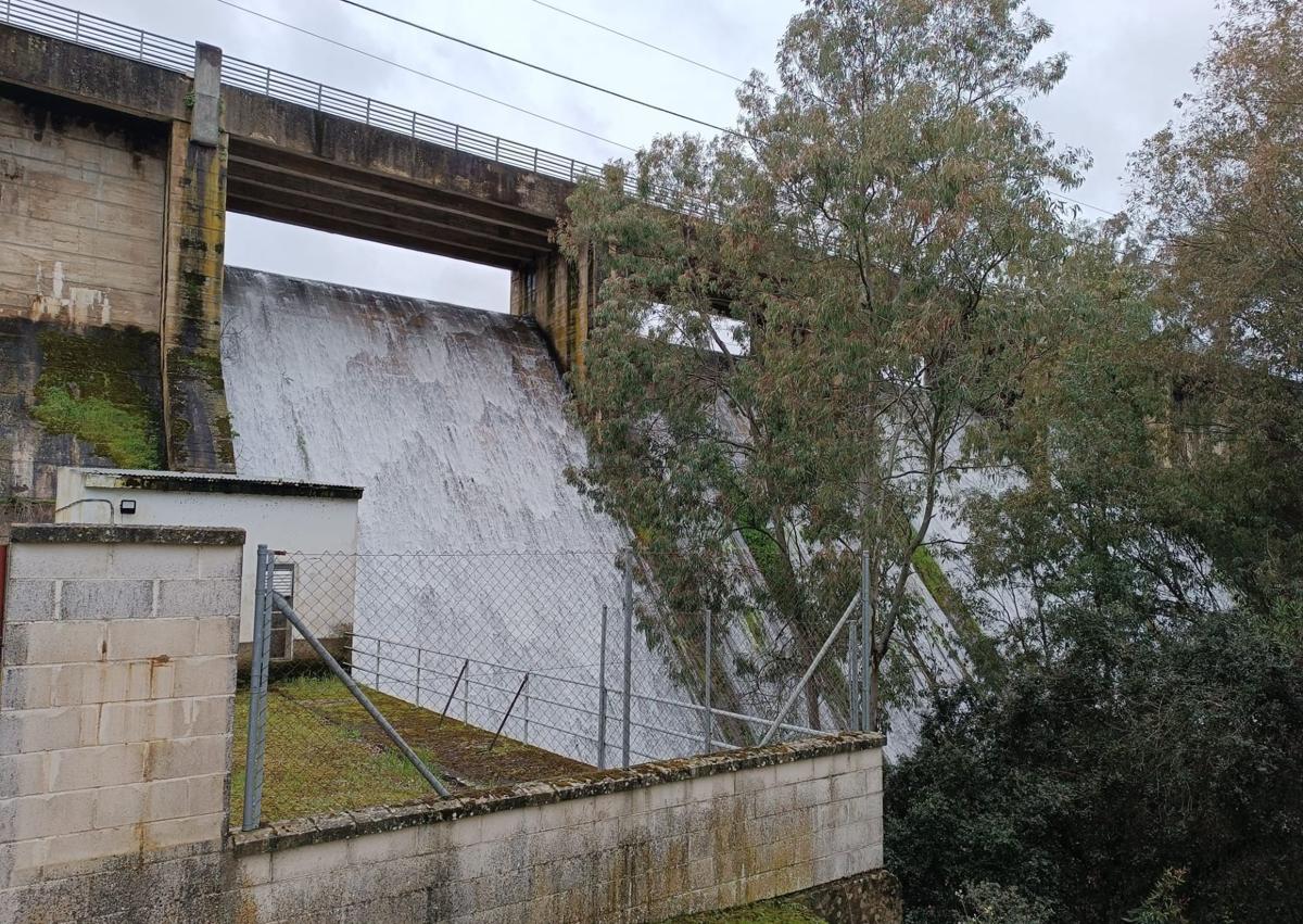 Imagen secundaria 1 - Algunas imágenes del pantano