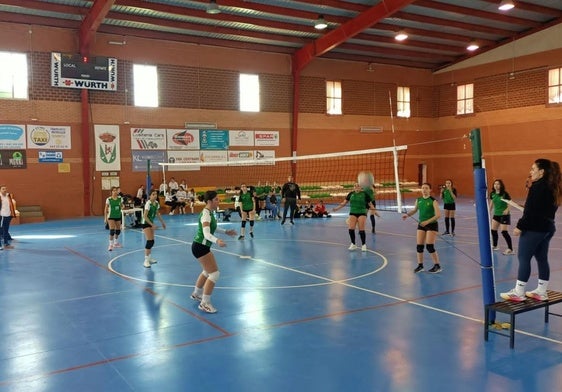 Durante uno de los partidos